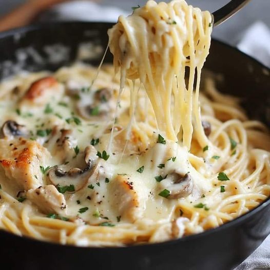 Creamy Chicken and Mushroom Alfredo Spaghett