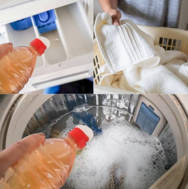 Discover the Power of Vinegar for Cleaner, Fresher Laundry