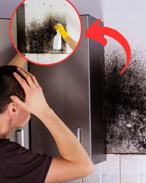 Mold Will Disappear From Your Home Thanks To An Old Trick From Grandmothers