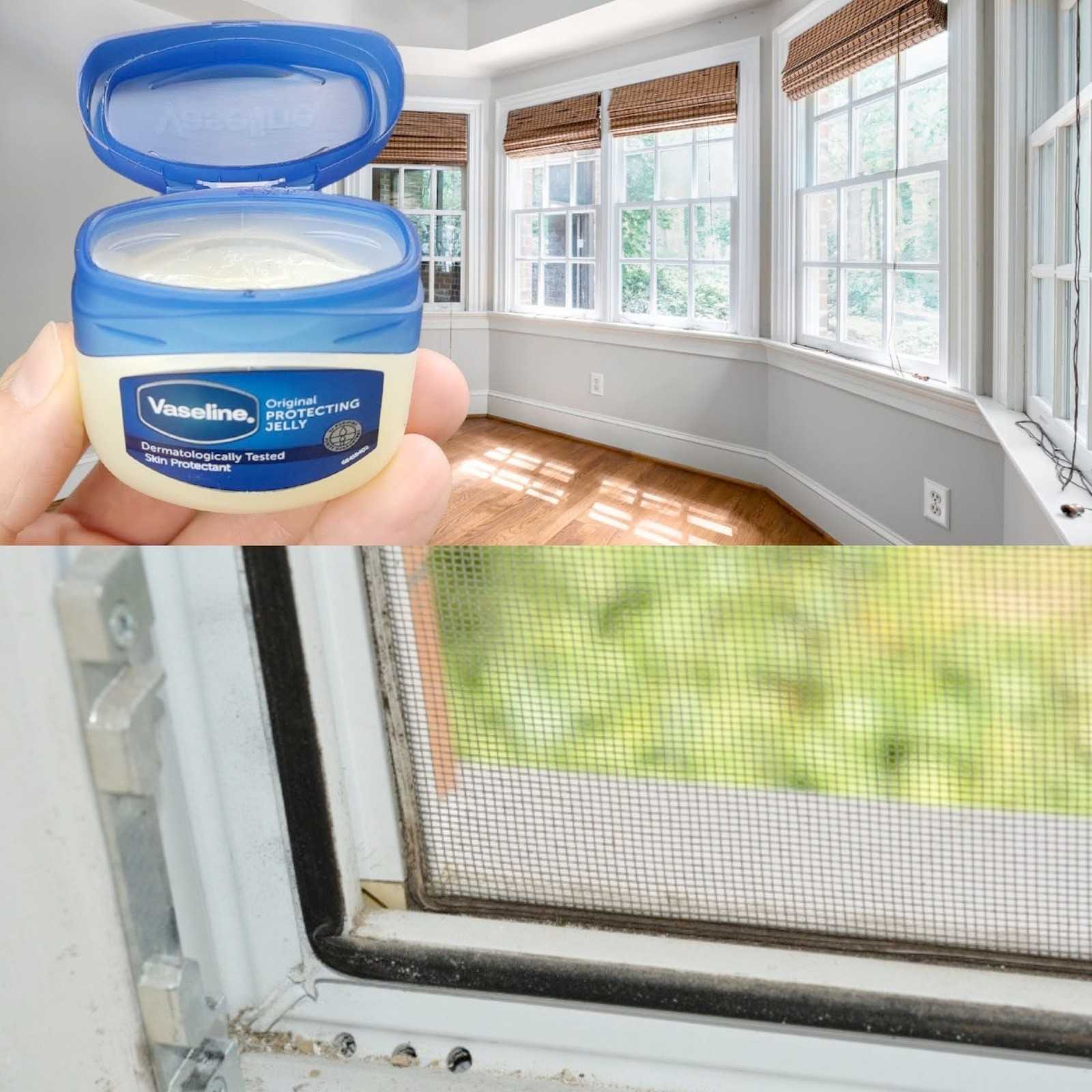 The Benefits of Vaseline and Why Even the Wealthiest People Use It on Their Windows