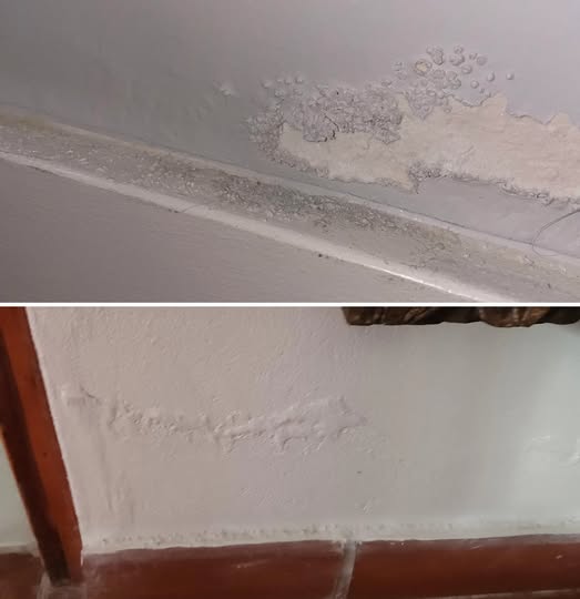 Rising Damp: The Easy and Economical DIY Method to Fix Walls Forever