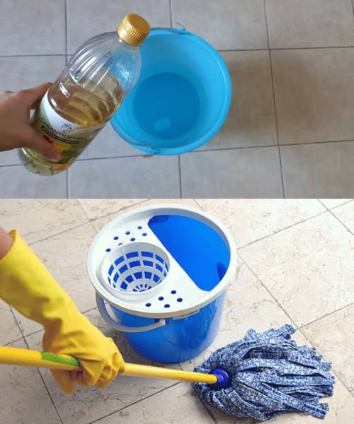 POUR A LITTLE VINEGAR INTO THE BUCKET OF WATER, BECAUSE THAT’S HOW HOTELKEEPERS ALWAYS DO IT