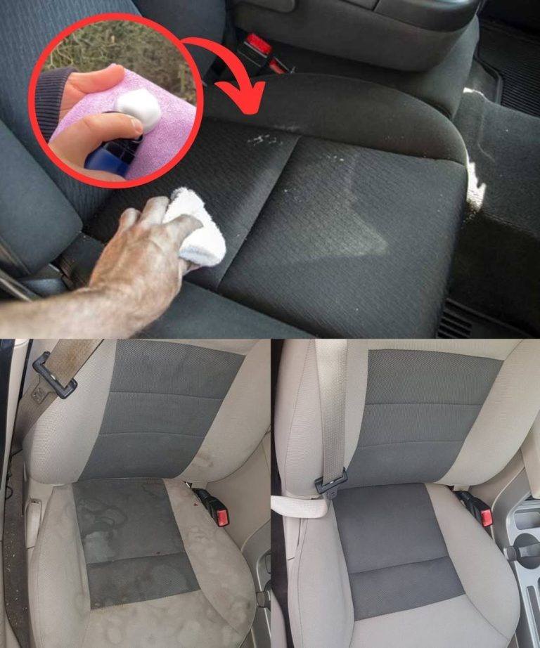 Stubborn Stains on Car Seats? The Car Wash Trick to Remove Them