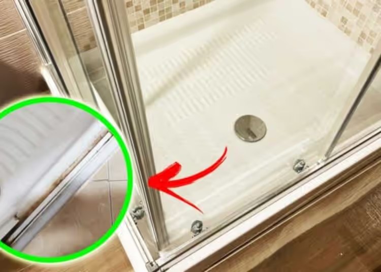 he perfect tips for removing mold from the shower