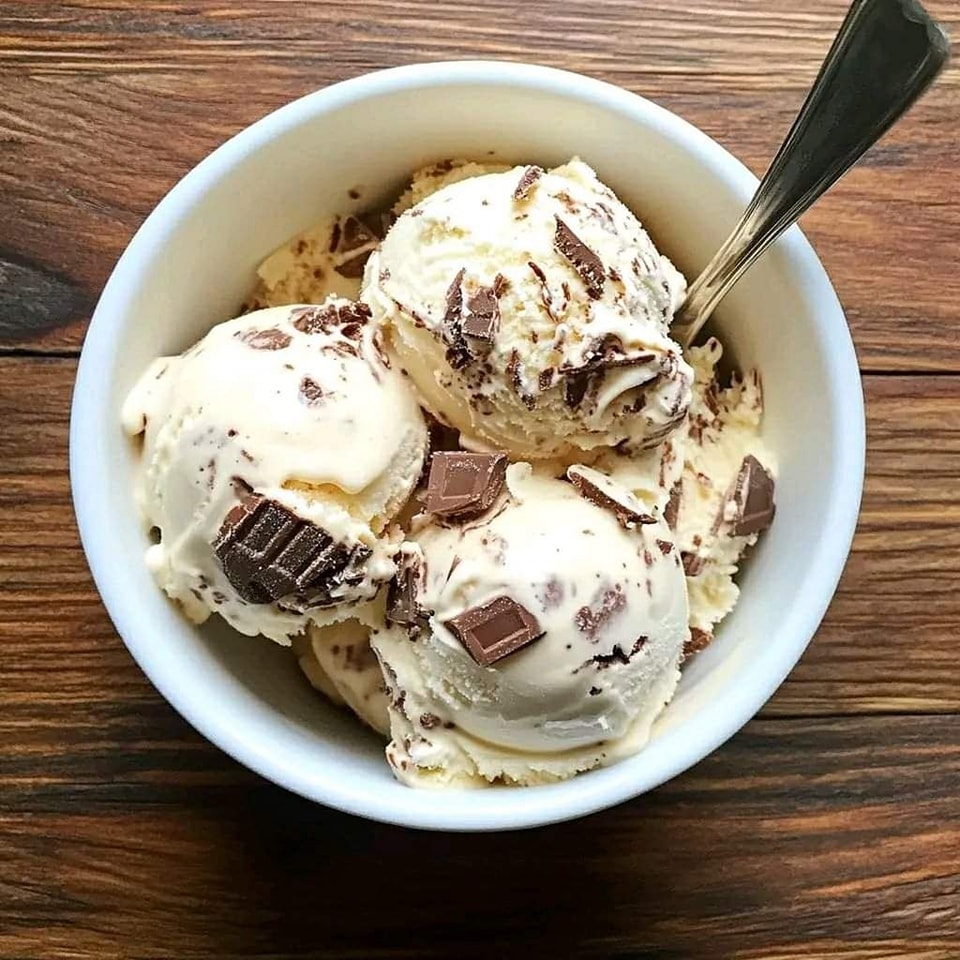 Homemade delicious chocolate ice cream bars