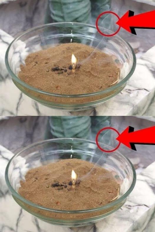 This will eliminate mosquitoes, midges and insects from your home in 5 minutes: Place it in the kitchen