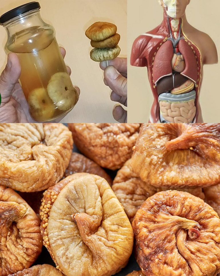 A Natural Remedy for Managing High Cholesterol and Healthy Arteries