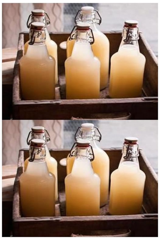 Ginger beer recipe: natural, tasty and with therapeutic properties