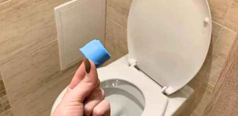 Mother-in-law is coming: these cleaning cubes save me when I need to quickly freshen up the toilet