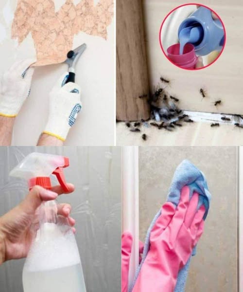 10 Ways to Use Fabric Softener That Have Nothing to Do with Laundr