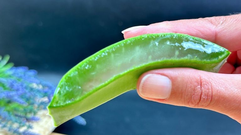 Hair Grows Like Crazy and Doesn’t Fall Out! This is the Best Remedy! Aloe Vera for Hair!