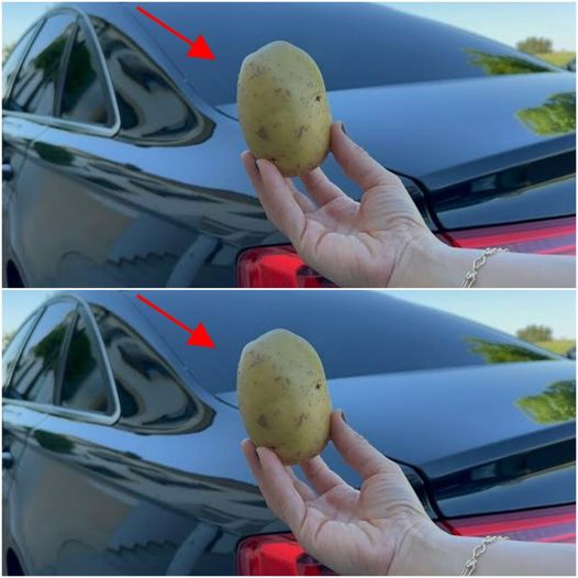 The Life-Saving Potato: An Unlikely Hero in Your Car