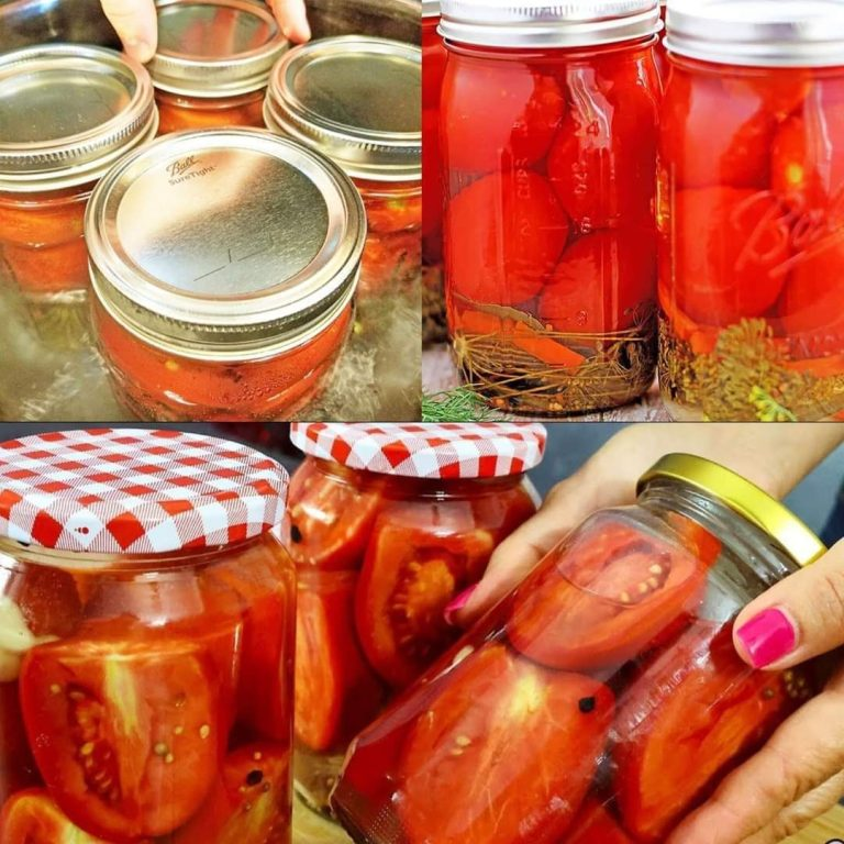 Grandma’s Recipe for Preserving Tomatoes in Jars Without Chemicals