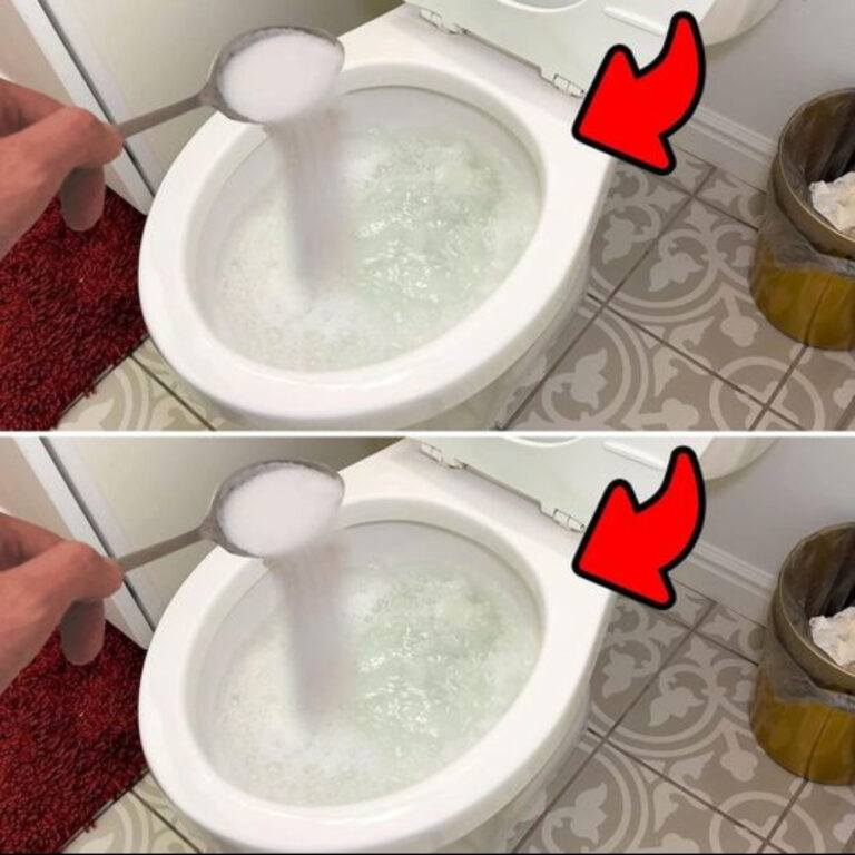 The salt trick in the toilet solves these problems that we all have