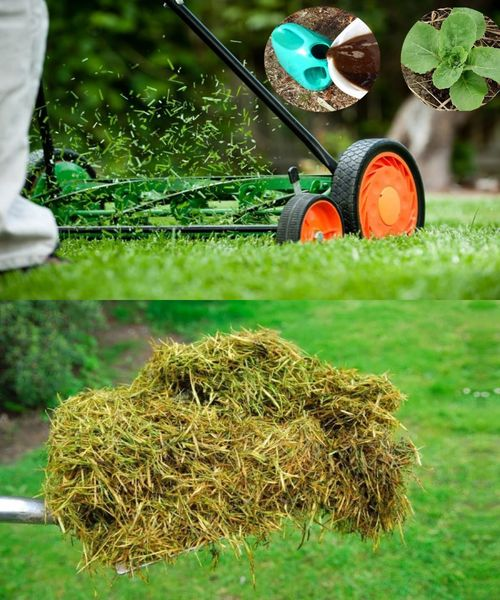 5 simple and useful ways to smart reuse cut grass