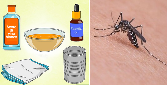 Spray this natural DIY repellent to say goodbye to flies and mosquitoes in 2 minutes