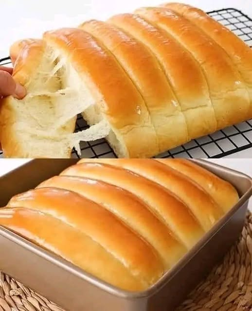 Soft Fluffy Dinner Rolls