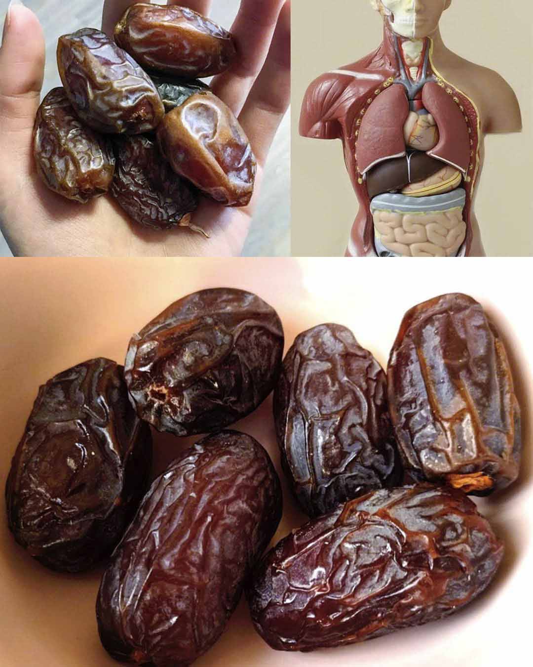 Why should you eat 3 dates a day?