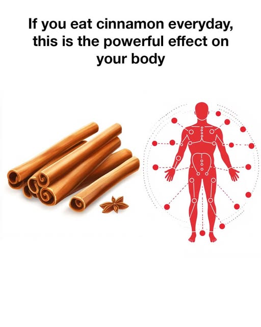 if you eat cinnamon everyday,this is the powerful effect on your body