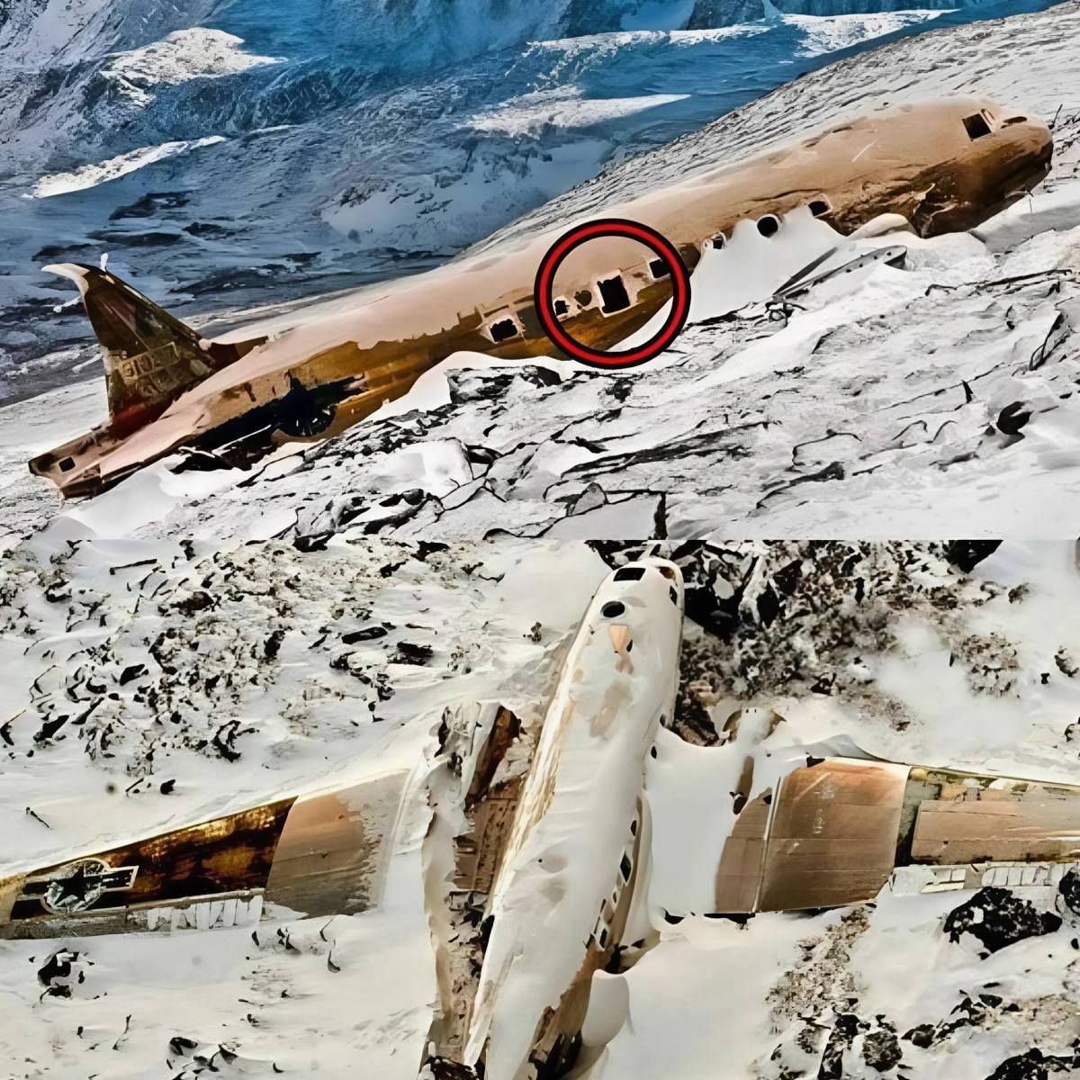 The Unsolved Mystery of Flight 66: Secrets Revealed in the Frozen Lands of Alaska…