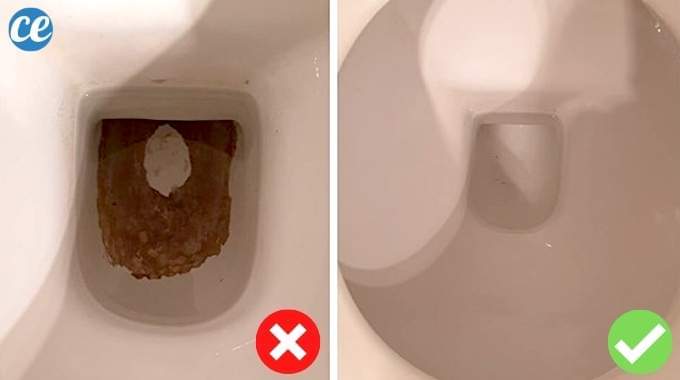 Black Marks at the Bottom of the Toilet: The Natural Tip to Eliminate Them Effortlessly.