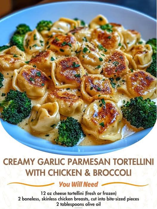 Creamy Garlic Parmesan Tortellini with Chicken & Broccoli