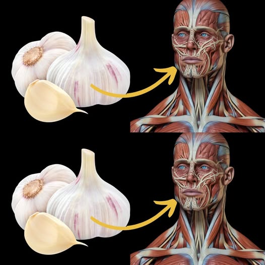 What Happens to Your Body When You Eat Raw Garlic Every Day