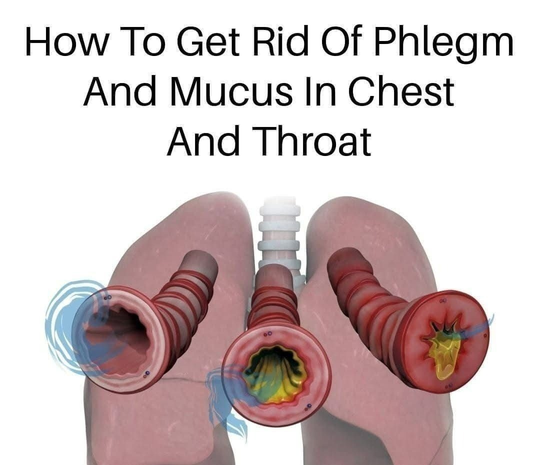 How to Naturally Clear Phlegm and Mucus from the Chest and Throat