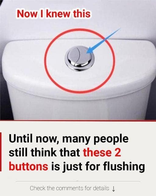 Many people still believe that these two buttons are only for flushing.