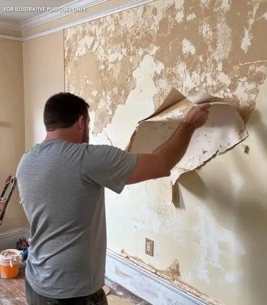 My Ex-husband Ripped off the Wallpaper After Our ᴅɪᴠᴏʀᴄᴇ Because ‘He Paid for It’ – Karma Had a Joke in Store for Him