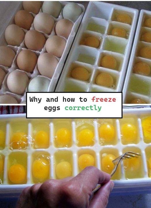 Why and how to freeze eggs correctly: notes for housewives