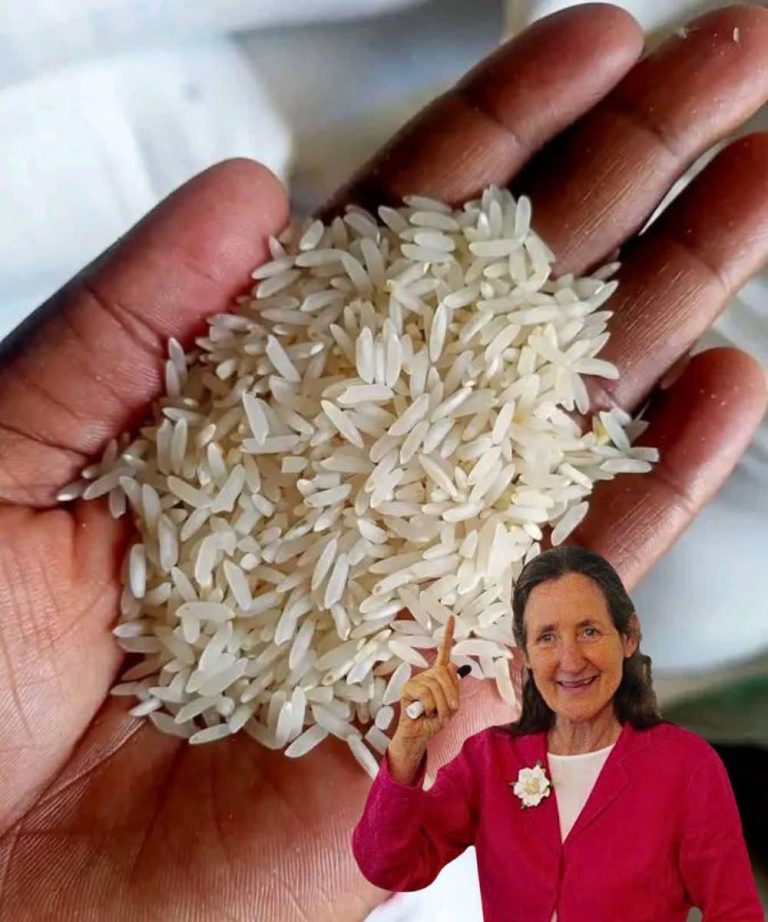 HOW TO IDENTIFY PLASTIC RICE: 6 SIMPLE TESTS FOR 2025