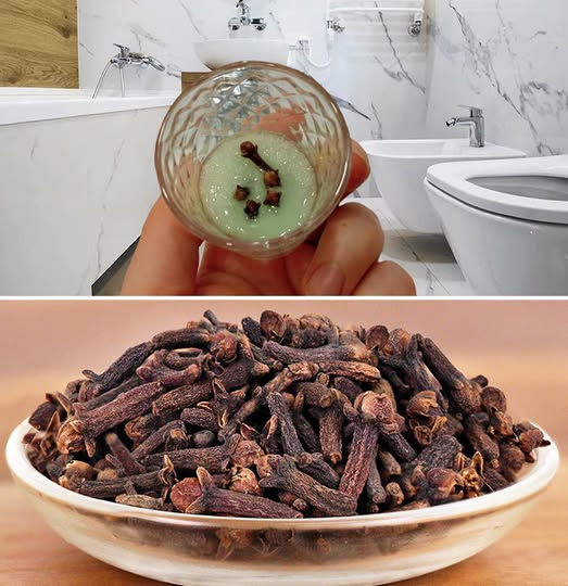 The natural trick to neutralize bad odors in the bathroom and perfume it for days