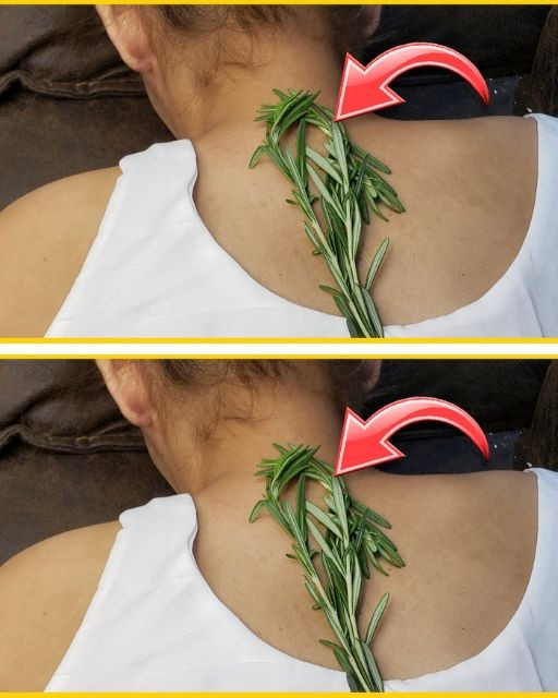 The reason why everyone is using Rosemary on their neck.