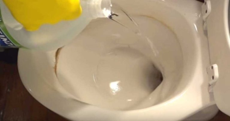 How To Remove Hard Water Stains From A Toilet Bowl