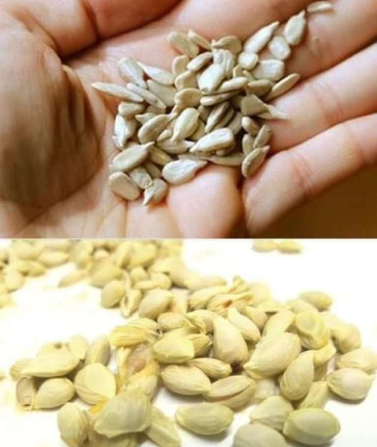 Alleviate Headaches Naturally with These Seeds