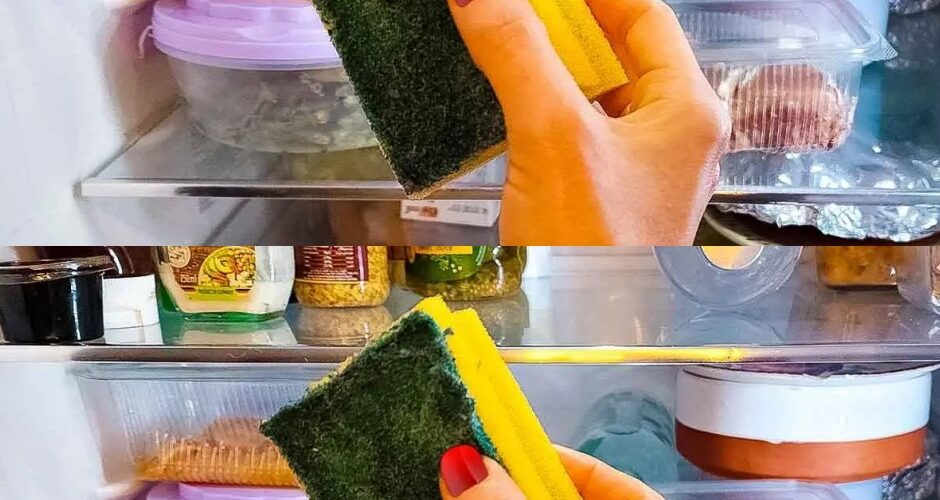 Put a sponge in the refrigerator: the trick that saves you money