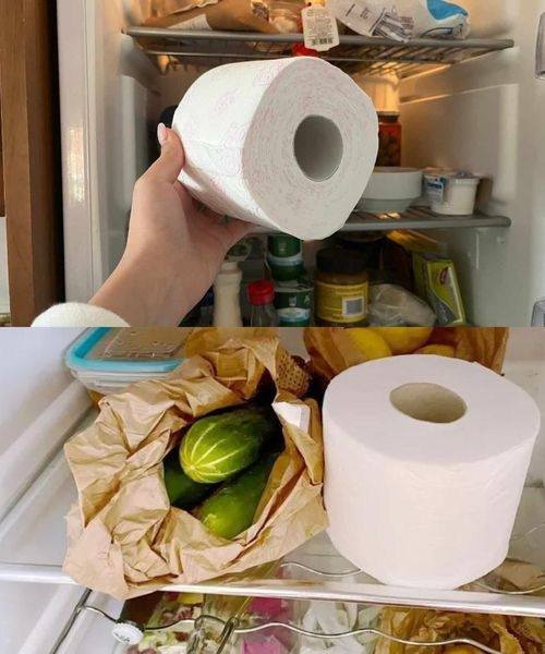 Put toilet paper in the fridge: the trick that solves a problem we all have