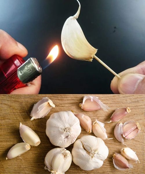 Burning a clove of garlic at home: find out what happens in 15 minutes