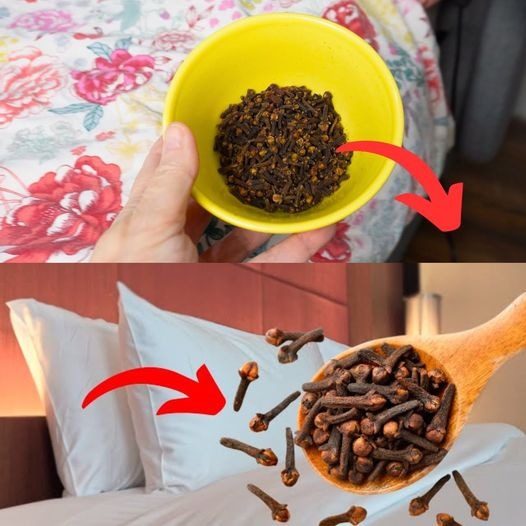 The Surprising Advantages of Putting Cloves Under Your Bed