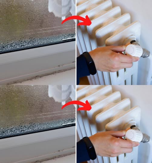 Combat Condensation: Ideal Radiator Temperature Settings