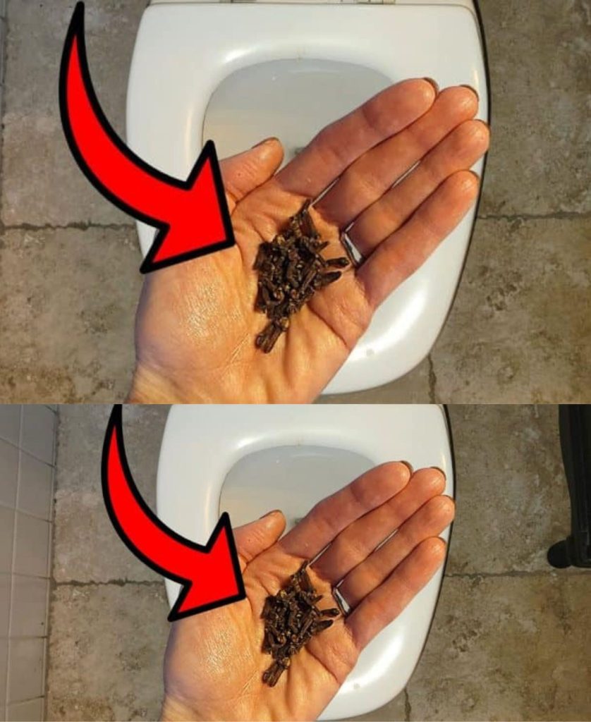 Learn This Simple Hack To Make Your Bathroom Smell Amazing