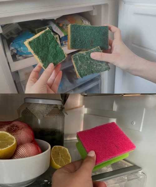 PUT 3 SPONGES FLAT IN THE FREEZER AND SEE WHAT HAPPENS LATER