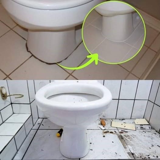 Black circle at the base of the toilet, you can only get rid of it if you do this: it becomes new again