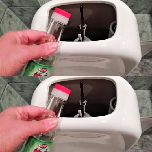 Stubborn toilet limescale disappears with this ingredient