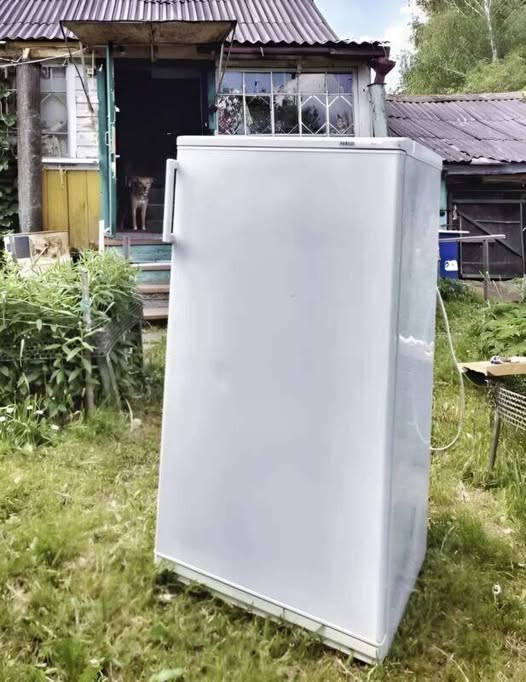 One of my neighbors decided to recycle his old fridge instead of getting rid of it: here’s what he did with it