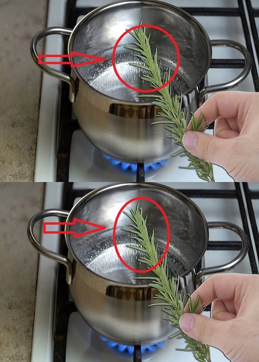 By boiling rosemary for 10 minutes, a significant issue can be resolved.