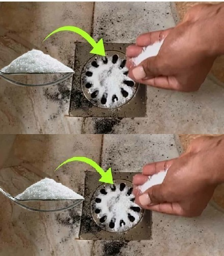 Salt: pour it down the shower drain – something incredible happens | Plumber’s advice