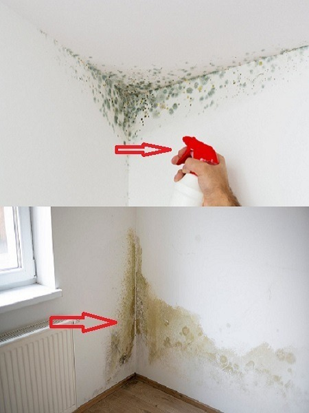 Get rid of mold in one corner of the room.