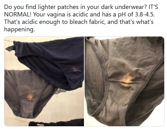 The Purpose of the Small Pocket in Women’s Underwear…